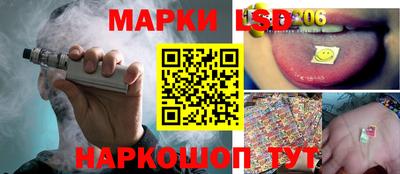 дмт Камышлов