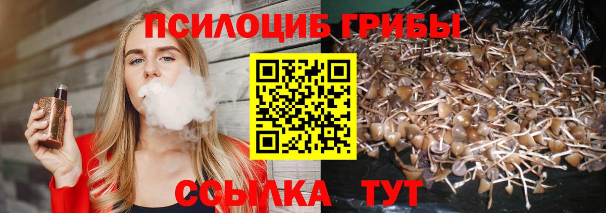 Псилоцибиновые грибы Psilocybine cubensis  Псилоцибиновые грибы мухоморы  Вход с VPN  хочу   Кызыл 